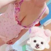 ヒメ日記 2025/08/20 00:18 投稿 雨宮 りさこ SUMIRE