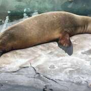 ヒメ日記 2025/08/24 18:10 投稿 雨宮 りさこ SUMIRE