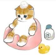 ヒメ日記 2025/01/14 20:57 投稿 らむ 岐阜岐南各務原ちゃんこ