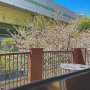 ヒメ日記 2025/04/12 15:51 投稿 天野ひなた-HINATA- Casual Rich 5（カジュアルリッチファイブ）