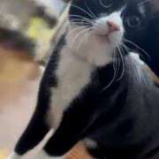 ヒメ日記 2026/02/20 09:12 投稿 天野ひなた-HINATA- Casual Rich 5（カジュアルリッチファイブ）