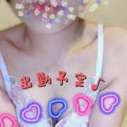 ヒメ日記 2025/04/29 12:10 投稿 まどか ヴィヴィッド・クルーマダム・セカンドヴァージン十三店