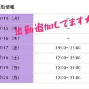 ヒメ日記 2026/07/14 11:16 投稿 まどか ヴィヴィッド・クルーマダム・セカンドヴァージン十三店