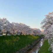 ヒメ日記 2025/04/05 17:24 投稿 田村えり 大阪ぽっちゃり妻 谷九店