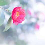 ヒメ日記 2026/02/01 20:36 投稿 田村えり 大阪ぽっちゃり妻 谷九店