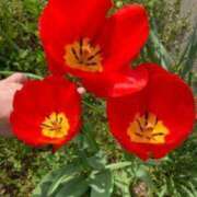 ヒメ日記 2025/02/10 18:16 投稿 れい つまみぐいイケちゃいますよ！