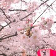 ヒメ日記 2025/03/23 18:16 投稿 弥生/やよい 五反田アネージュ（ユメオト）