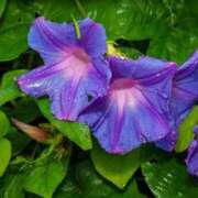 ヒメ日記 2025/09/05 09:37 投稿 弥生/やよい 五反田アネージュ（ユメオト）