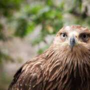 ヒメ日記 2025/02/05 16:30 投稿 まい 佐世保人妻デリヘル「デリ夫人」