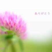 ヒメ日記 2025/04/08 11:20 投稿 まい 佐世保人妻デリヘル「デリ夫人」