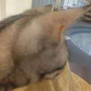 ヒメ日記 2026/07/02 14:08 投稿 ひより ジュリアングループ八王子店