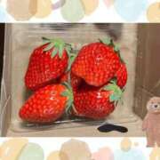 ヒメ日記 2025/01/26 21:59 投稿 すず 卒業したて。