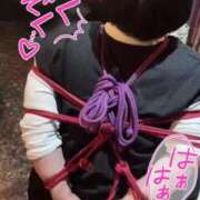 ヒメ日記 2025/04/09 06:25 投稿 麗戸 BBW札幌店