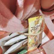 ヒメ日記 2025/03/13 12:05 投稿 アイネ【超濃厚ご奉仕はいかが？】 ドＭなバニーちゃん小倉店