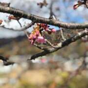 ヒメ日記 2025/02/25 06:29 投稿 のあ 白い巨乳