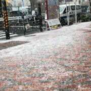 ヒメ日記 2025/03/19 10:02 投稿 のあ 白い巨乳