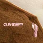 ヒメ日記 2025/04/10 12:33 投稿 のあ 白い巨乳