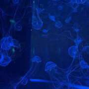 ヒメ日記 2025/02/17 22:30 投稿 りあな ドンファン