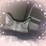 ヒメ日記 2025/02/24 12:05 投稿 みこと 熟女家 豊中蛍池店