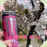 ヒメ日記 2025/04/01 10:35 投稿 みこと 熟女家 豊中蛍池店