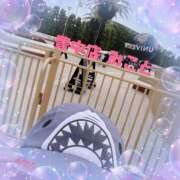 ヒメ日記 2025/04/02 00:06 投稿 みこと 熟女家 豊中蛍池店