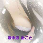 ヒメ日記 2025/04/17 19:31 投稿 みこと 熟女家 豊中蛍池店