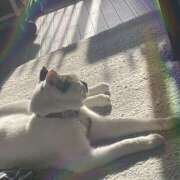 ヒメ日記 2025/06/06 06:51 投稿 みこと 熟女家 豊中蛍池店