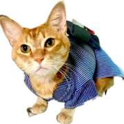 ヒメ日記 2025/07/21 22:55 投稿 みこと 熟女家 豊中蛍池店