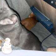 ヒメ日記 2025/11/20 13:59 投稿 みこと 熟女家 豊中蛍池店