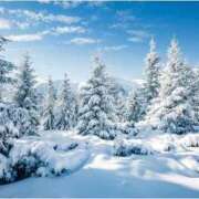 一ノ瀬りおん天然【Ⅰ】カップ 次回の出勤♡ ファーストクラス ルビー