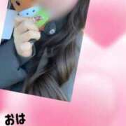 ヒメ日記 2026/02/06 06:20 投稿 りんこ E+アイドルスクール品川店