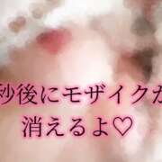ヒメ日記 2026/05/31 19:40 投稿 りんこ E+アイドルスクール品川店