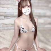 ヒメ日記 2025/04/24 10:42 投稿 メイサ ギャルズネットワーク 姫路