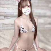 ヒメ日記 2025/11/11 10:06 投稿 メイサ ギャルズネットワーク 姫路