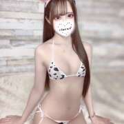 ヒメ日記 2025/06/24 13:40 投稿 めいさ プロフィール姫路