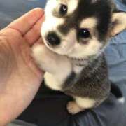 蘭 [ラン] ごめんなさい🙇‍♀️ ゆるふわ彼女