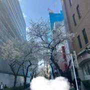 ヒメ日記 2025/04/07 23:09 投稿 のの 白いぽっちゃりさん五反田店