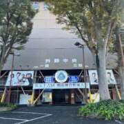 ヒメ日記 2025/11/14 13:29 投稿 のの 白いぽっちゃりさん五反田店