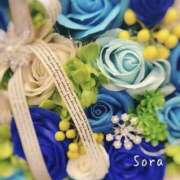 ヒメ日記 2025/03/10 12:06 投稿 鈴木蒼良 五十路マダム　和歌山店