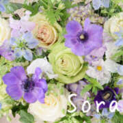 ヒメ日記 2025/03/12 01:48 投稿 鈴木蒼良 五十路マダム　和歌山店