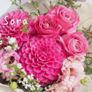 ヒメ日記 2025/03/12 09:50 投稿 鈴木蒼良 五十路マダム　和歌山店