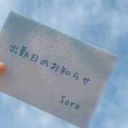 ヒメ日記 2025/03/12 12:38 投稿 鈴木蒼良 五十路マダム　和歌山店