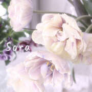 ヒメ日記 2025/03/18 01:46 投稿 鈴木蒼良 五十路マダム　和歌山店