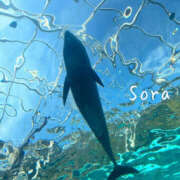 ヒメ日記 2025/03/21 08:38 投稿 鈴木蒼良 五十路マダム　和歌山店