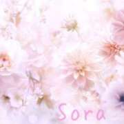 ヒメ日記 2025/03/23 03:20 投稿 鈴木蒼良 五十路マダム　和歌山店