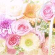 ヒメ日記 2025/03/23 03:28 投稿 鈴木蒼良 五十路マダム　和歌山店