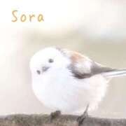 ヒメ日記 2025/03/23 22:54 投稿 鈴木蒼良 五十路マダム　和歌山店