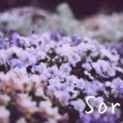 ヒメ日記 2025/03/23 23:44 投稿 鈴木蒼良 五十路マダム　和歌山店