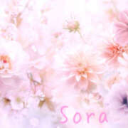 ヒメ日記 2025/03/26 00:00 投稿 鈴木蒼良 五十路マダム　和歌山店