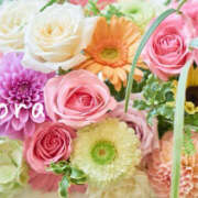 ヒメ日記 2025/03/26 00:10 投稿 鈴木蒼良 五十路マダム　和歌山店